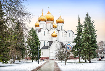 Fototapeta premium Успенский собор и ели ssumption Cathedral in Yaroslavl among green fir trees