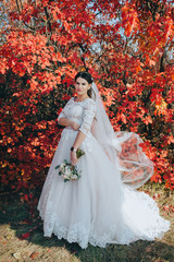 A beautiful and smiling brunette bride in a white dress with a bouquet stands on a background of red bushes and autumn nature. Wedding portrait of a cute, loving wife. Photography, concept.