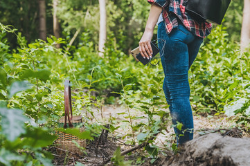Power bank in a girl s hand, against the background of the forest and greenery.