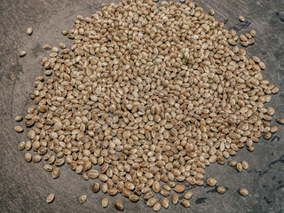 cannabis or marijuana seeds