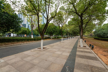 The century avenue of street scene in shanghai Lujiazui,China.