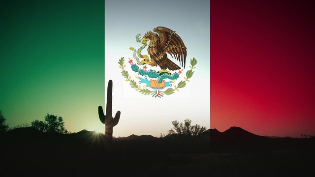 Mexico Flag Builds on in Sky with Cactus Silhouette Sunrise Time Lapse