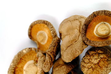 Dried Shiitake Mushroom Popular eating Health benefits Stimulates the immune system. Reducing blood cholesterol levels Helps to strengthen bones. Useful for cancer patients