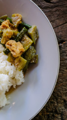 traditional indonesian culinary food. sayur lodeh in a plate with white rice