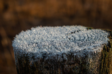 hoarfrost on a stump of an old tree