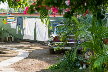 wine-red cuban classic car behind a palm tree with laundry and clothes line in the back