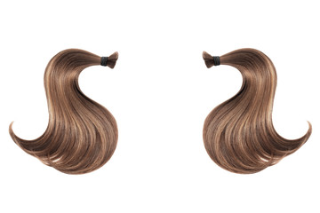 Brown hair isolated on white background. Two ponytail - obrazy, fototapety, plakaty