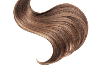Brown hair isolated on white background. Long ponytail - obrazy, fototapety, plakaty