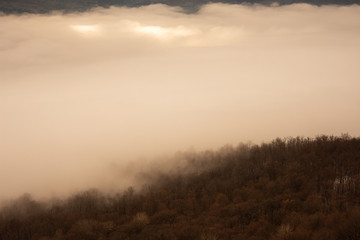 Beautiful landscape and fog. Winter.