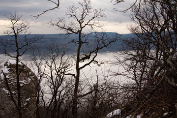 Fototapeta na wymiar Gloomy landscape. Forest in the fog.