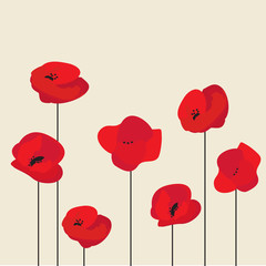 Red Poppy flower background, vector illustration - 317247031