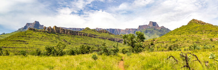 Naklejka premium Panorama of the Amphitheatre and a hiking trail to Policeman's Helmet, Drakensberg mountains, Royal Natal National Park, South Africa
