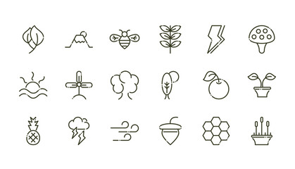 Fototapeta premium forest foliage ecology nature line design icons set