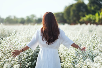 Portrait image of an asian woman walking into a beautiful Cutter flower field