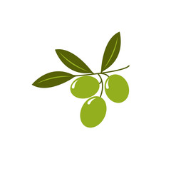 Olive branch icon vector illustration isolated on white background