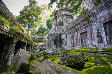 Ta Prohm temple at Angkor Wat complex, Siem Reap, Cambodia