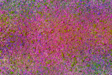 colored powder background 