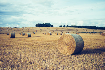 Wide field with straw bales © sandrinodonnhauser