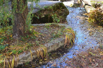 stream in the forest of Sofievsky dendrological park in Uman