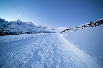 Gąsiennicowa Valley in winter