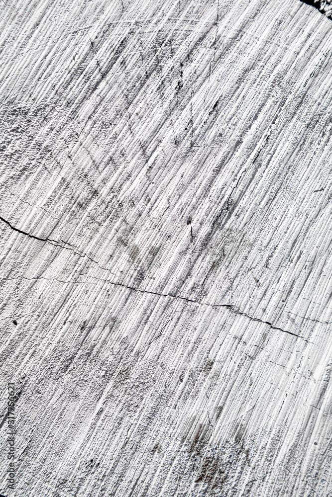 Poster stump of tree felled - section of the trunk with annual rings painted white. slice wood. wood textur