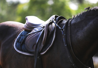 Closeup of a horseback under old leather jumper saddle on competition. Equestrian sport background.
