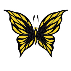 butterfly top view yellow and black colorful vector illustration