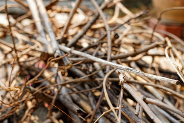 Close up A pile of wood brown dry twigs in random order. shallow depth of field.