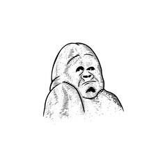 king gorilla mascot isolated vector logo mammal monkey africa primate illustration