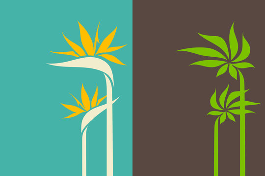 Tropical leaves and exotic flowers. Set of stylish vector decorative illustrations