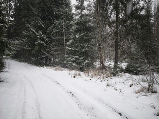 Beautiful winter landscape with road, forest and falling snow