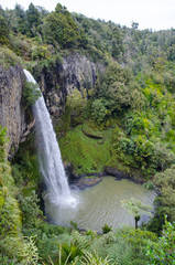 Bridal Veil Falls Waterfall in Waikato, New Zealand