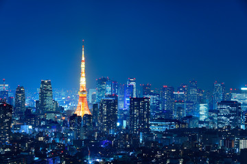 光が溢れる東京の夜景