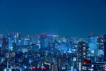 光が溢れる東京の夜景