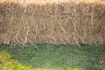 Hay or straw grass after harvest at country farm field
