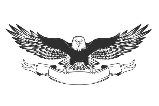 Eagle isolated on white. Vector illustration.