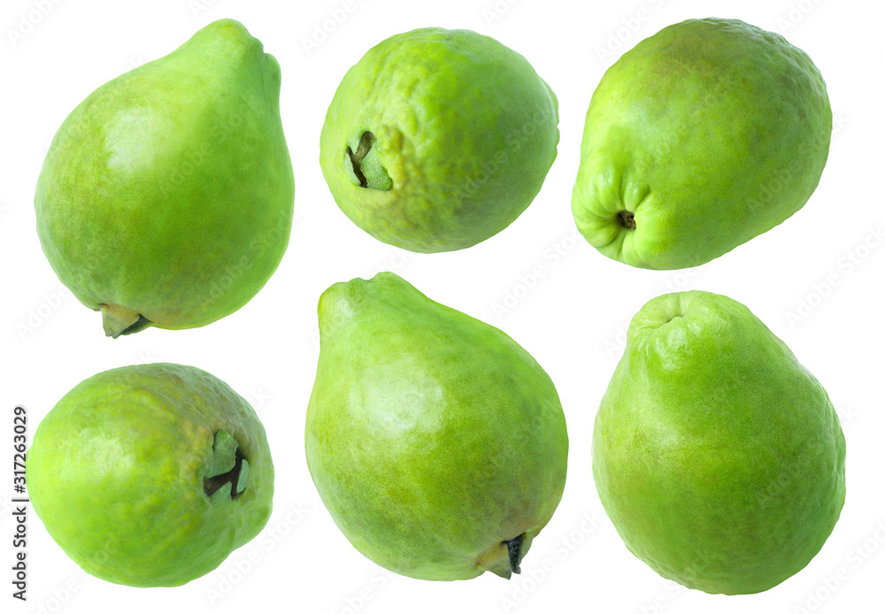 Fototapete isolated guava. collection of whole green guava fruits isolated on white background with clipping pa