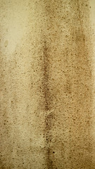 Dirty and Old cement wall texture background. Weathered rusty metal abstract texture. Grunge background with peeling paint ( Wall texture can be used as a wall frame and wall background )