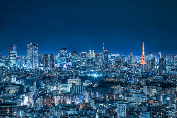 Fototapeta na wymiar 光が溢れる東京の夜景