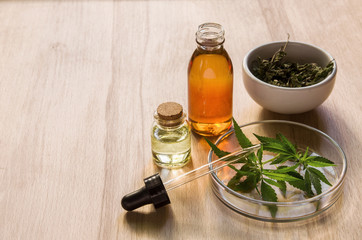 Hemp oil and plant green fresh leaf in glass bottle and Petri dish on wooden table background in lab, copy space.