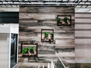 Interior design of a luxury bathroomand decorative pots with plants on the counter.