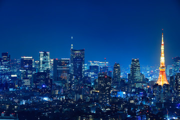 光が溢れる東京の夜景