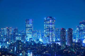 Obraz na płótnie Canvas 光が溢れる東京の夜景