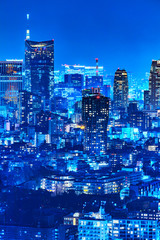 光が溢れる東京の夜景