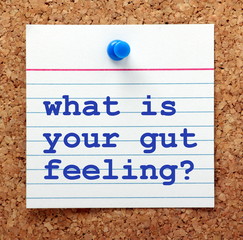 The question What Is Your Gut Feeling in blue text on a note card pinned to a cork notice board