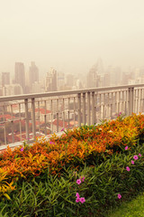 bush and fence in garden on rooftop of high-rise building in poor weather, haze of pollution covers city, global warming concept