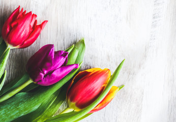 Three colorful tulips on wooden background. Iinvitation postcard for mother's day or international women's day. Minimalist bright flower for advert or promotion. Spring flowers.