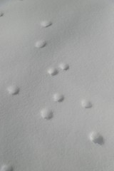 Fototapeta na wymiar Aerial view of a human footprints on white snow on the frozen lake