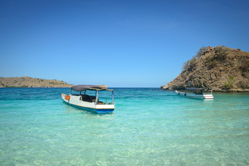 Obraz premium Komodo paradise
