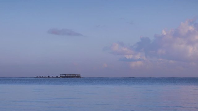 Caribbean sea view and dolphin pool island park in the water